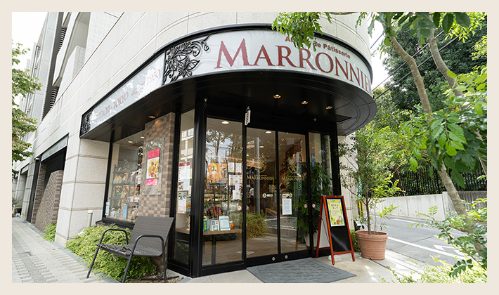 マロニエ国立旭通り